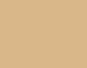 0000215995| Superior Background Paper Beige 2.72m x 11m