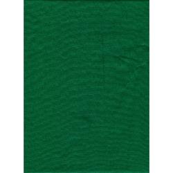 0000012995| ProMaster Solid Backdrop 12' - Chromakey Green 1884