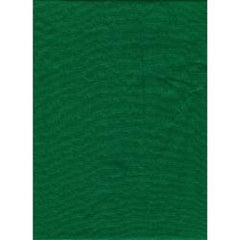  ProMaster Solid Backdrop 12' - Chromakey Green 1884