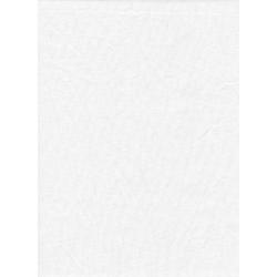 0000014995| ProMaster Backdrop 20 Foot White - 1898