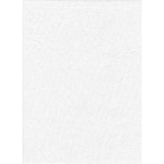  ProMaster Backdrop 20 Foot White - 1898