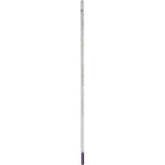  Paterson Thermometer Color 12"