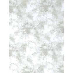 0000017995| ProMaster  Cloud Dyed Backdrop 20ft Light Grey 9262