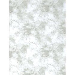  ProMaster  Cloud Dyed Backdrop 20ft Light Grey 9262