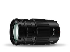  Panasonic  G 100-300mm F4.0-5.6 MkII Lens