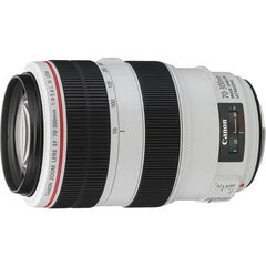  Canon EF 70-300mm f/4-5.6L IS USM Lens