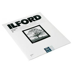  Ilford MG IV RC Deluxe Pearl 12x16 10 Sheets