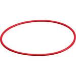  Olympus POL-053 O-Ring For PT-053