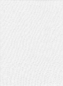 0000014995| ProMaster 10x12 Solid Backdrop (white) 1863