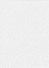  ProMaster 10x12 Solid Backdrop (white) 1863