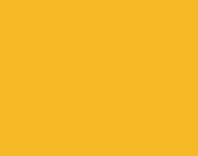 0000215995| Superior Background Paper Yellow/Orange 2.72m X 11m